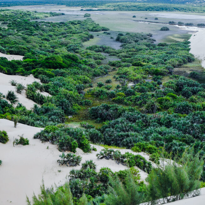 bazaruto national park