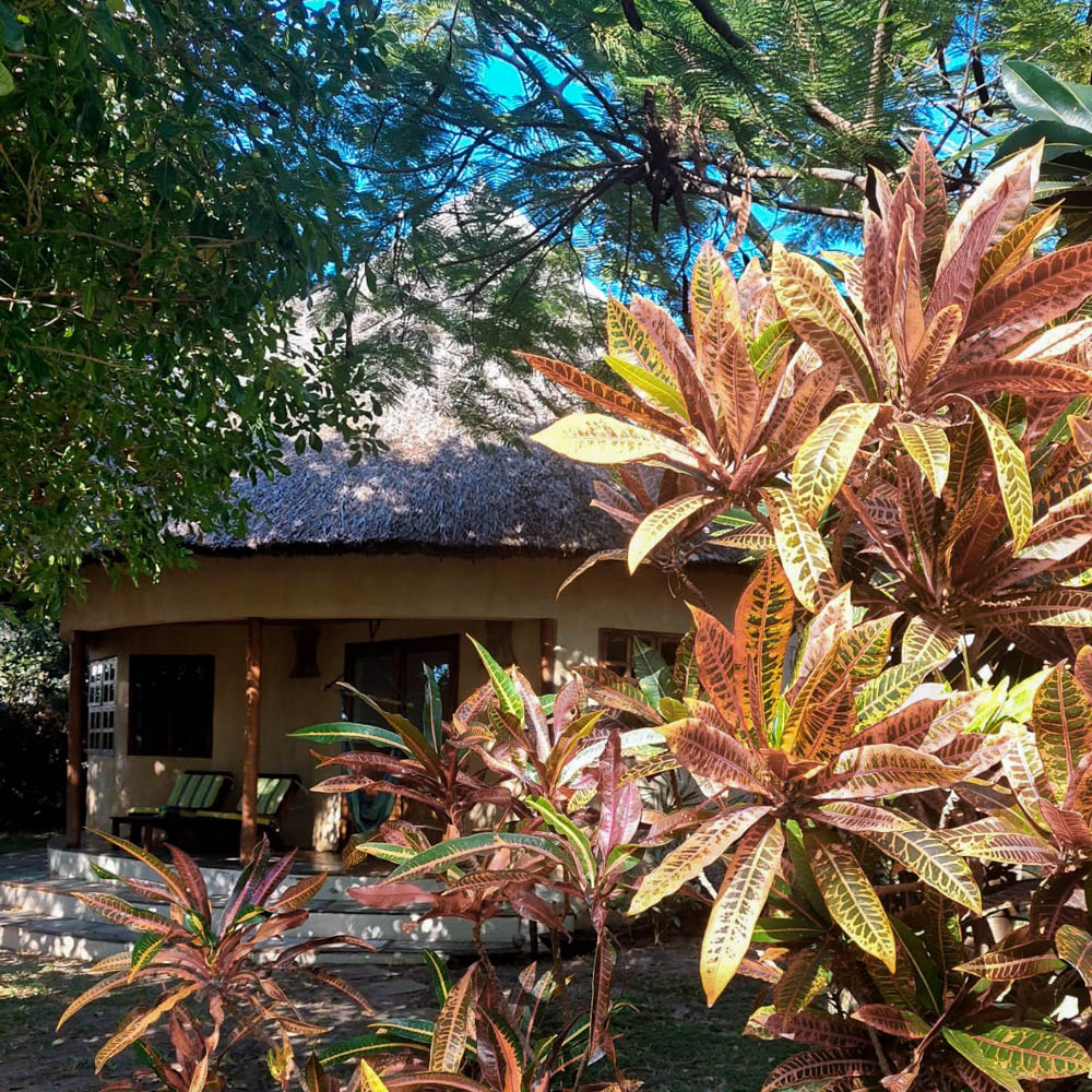 Casa Babi - Cottage garden view