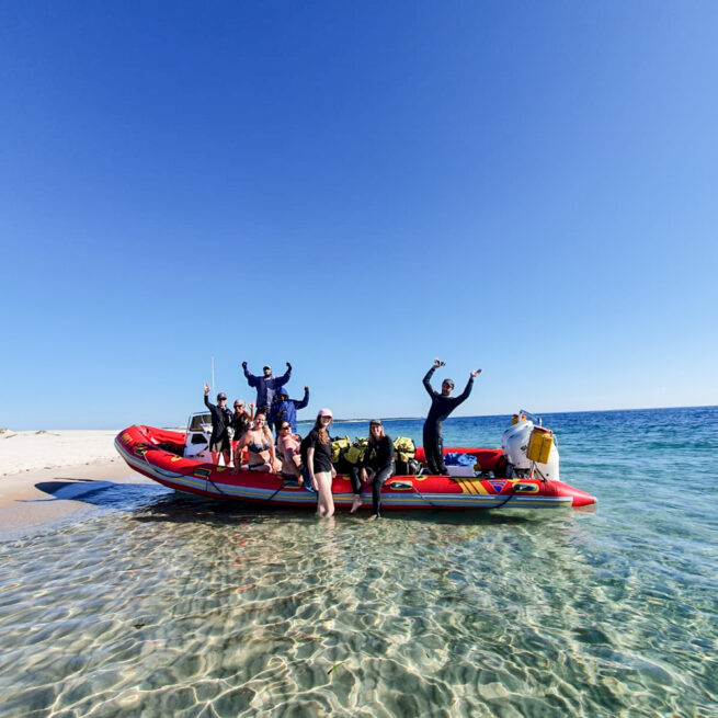 diving boat mozambique