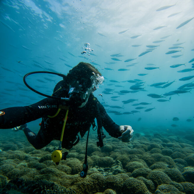 Scuba diving Bazaruto island