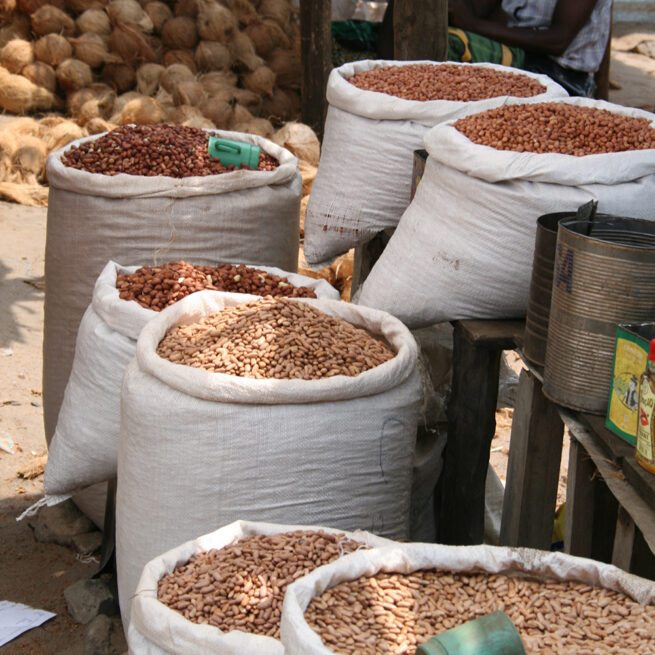 local market of vilanculos mozambique