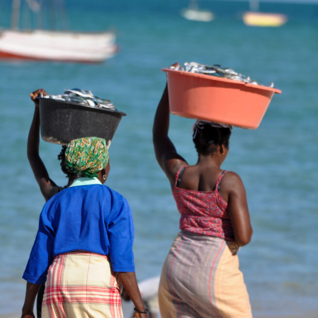 local market, women caring bucket