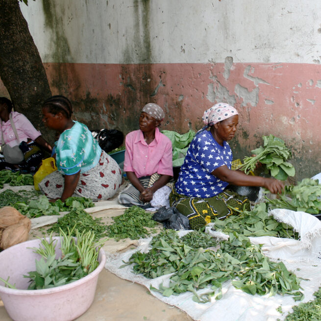 mozambican women selling at local market vilanculos