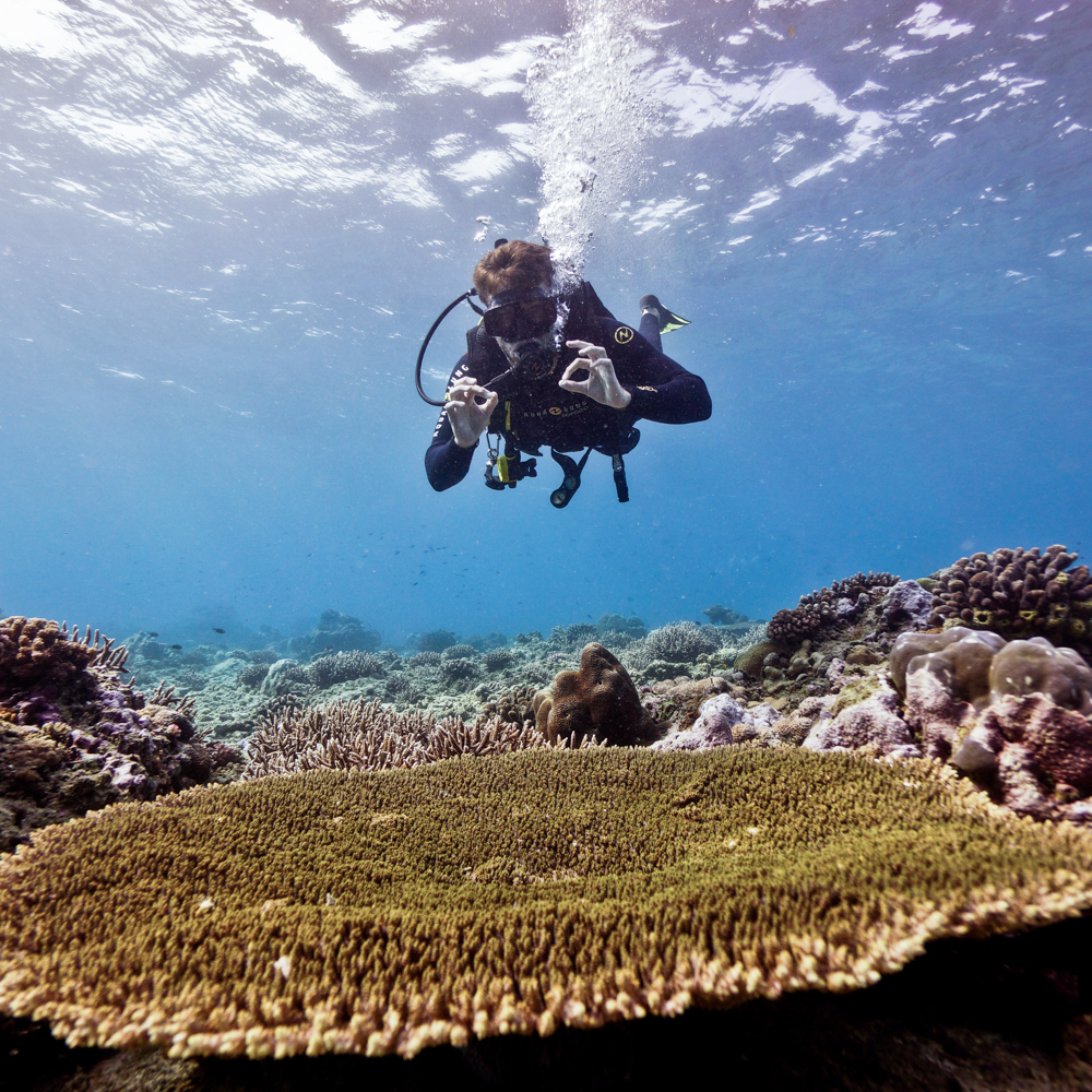 scuba diving in Vilanculos and National park of Bazaruto