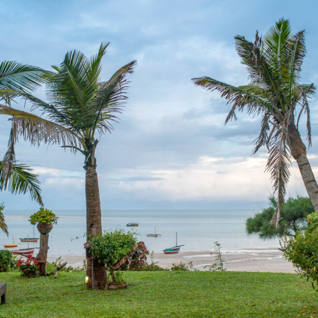 view of garden casababi