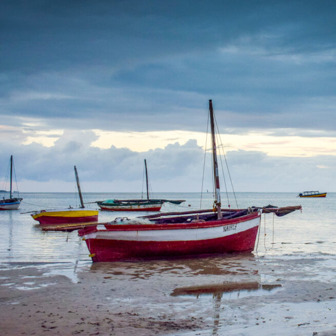 dhow on the beach in vilanculos