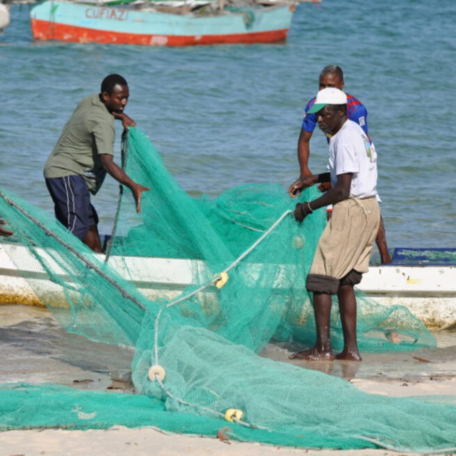 vilanculos fisherman with a net